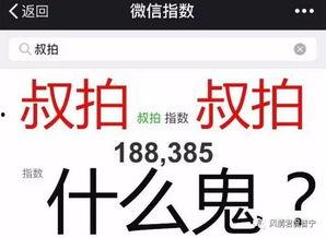 今日头条爆料幺妈和幺叔,揭秘娱乐圈背后的温情故事  第3张